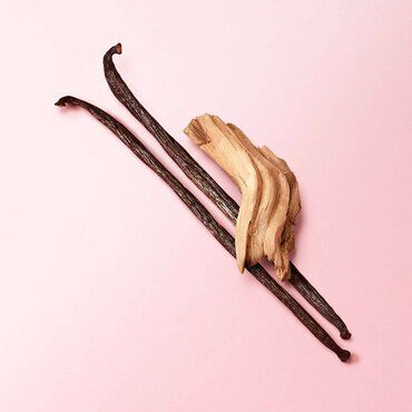 Two vanilla pods and a piece of wood on a pink background.