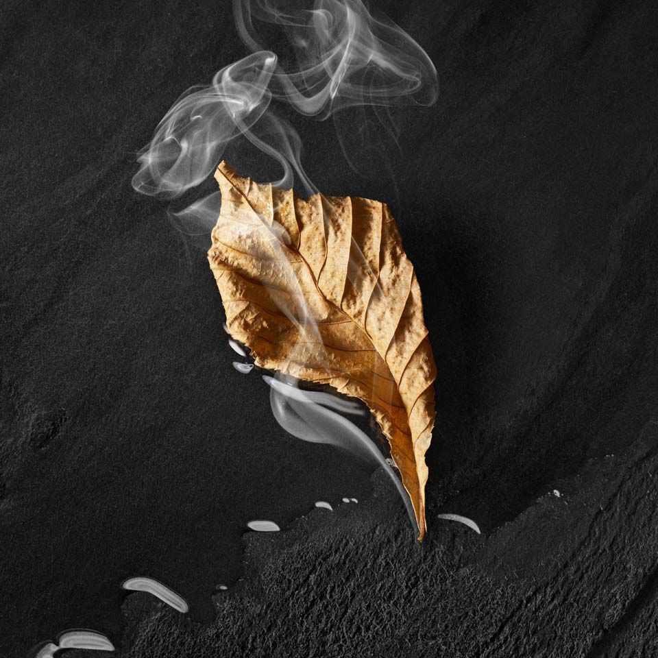 A dried brown leaf resting on a dark surface, with wisps of smoke curling up around it.