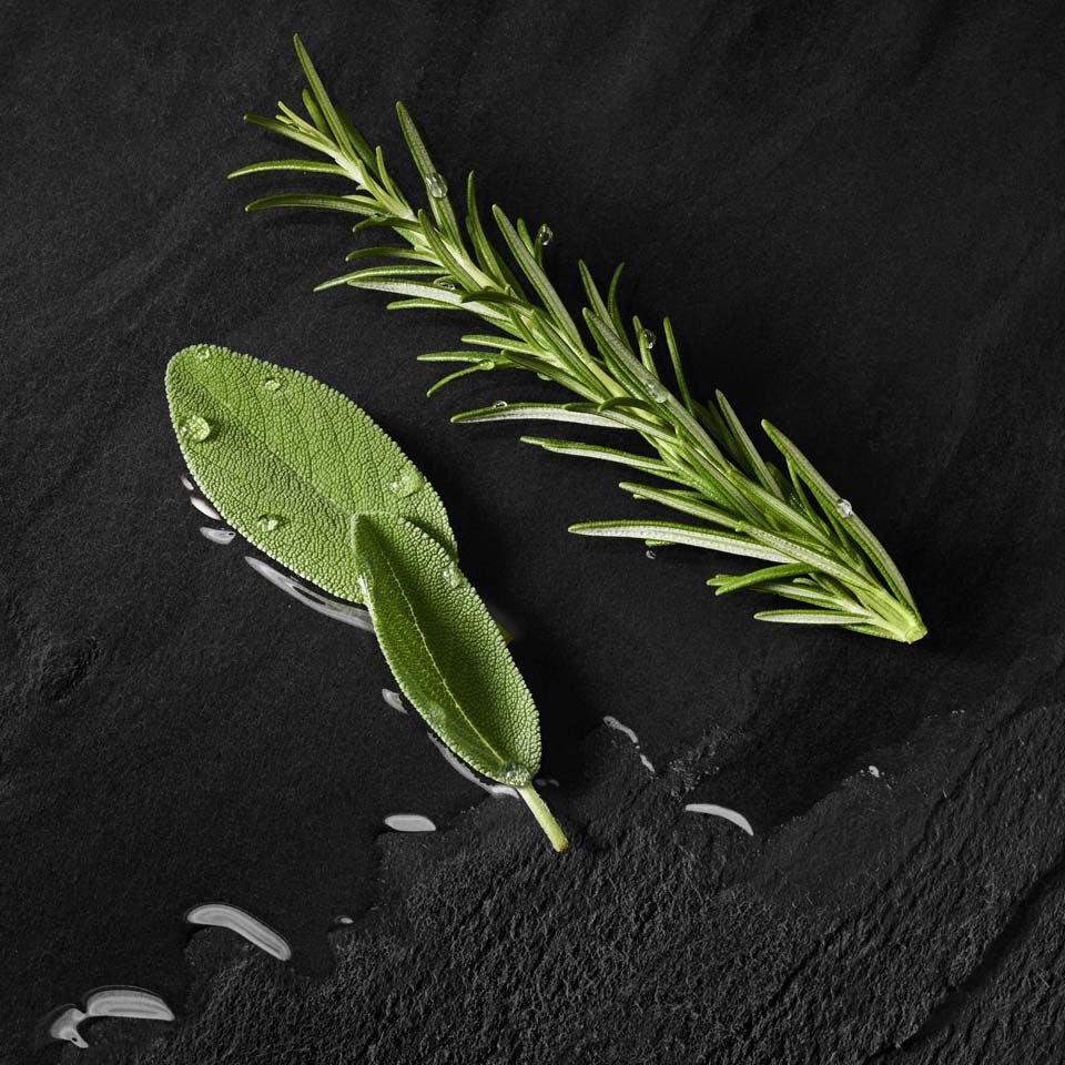 A close-up of a green sage leaf and a sprig of rosemary arranged on a textured black surface, with a few water droplets on the leaves.