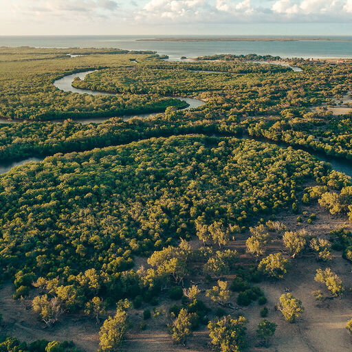 Vue aerienne d'une mangrove luxuriante et verdoyante, traversee par une riviere sinueuse. Cette image represente l'engagement d'Armani envers des pratiques durables et une philosophie "Concu pour durer".