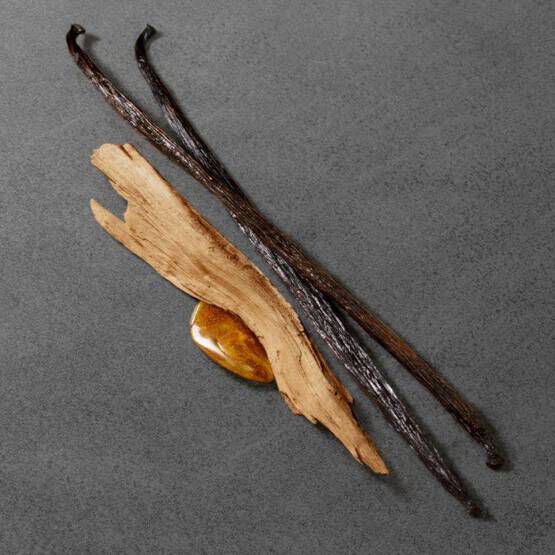 A piece of polished amber rests on a dark surface, accompanied by two vanilla beans and a wooden twig.