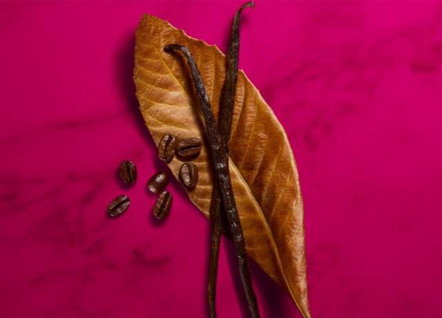 A vibrant pink background features two brown vanilla beans and several coffee beans arranged on a golden leaf.