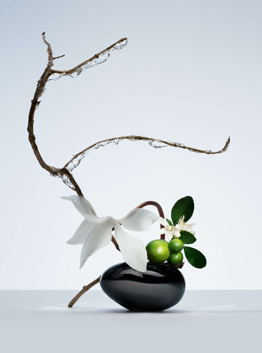 Ikebana-style arrangement featuring an icy branch, delicate white flowers, and vibrant green citrus fruits.