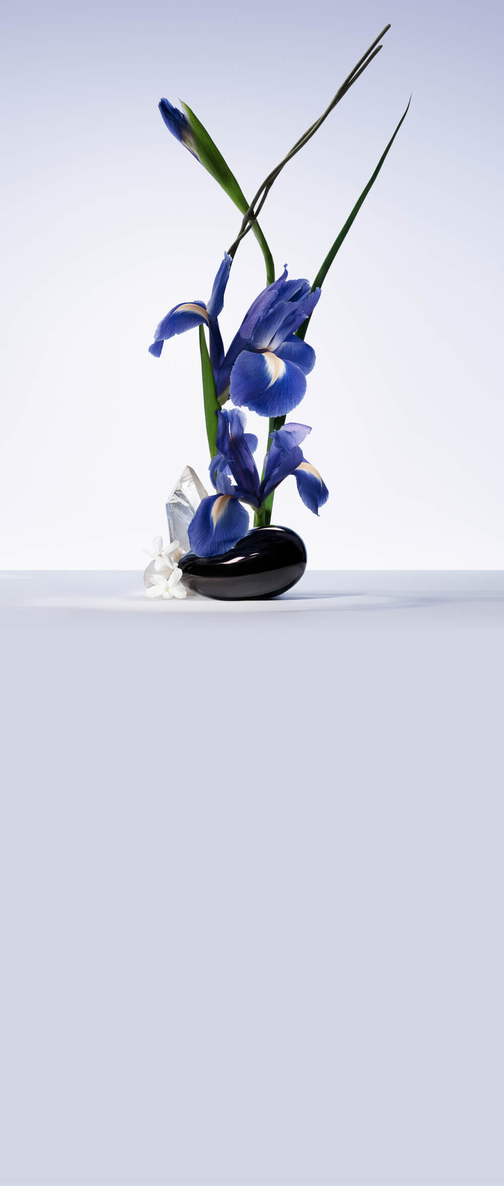 Ikebana showcasing iris flowers and white musk in a dark vase.