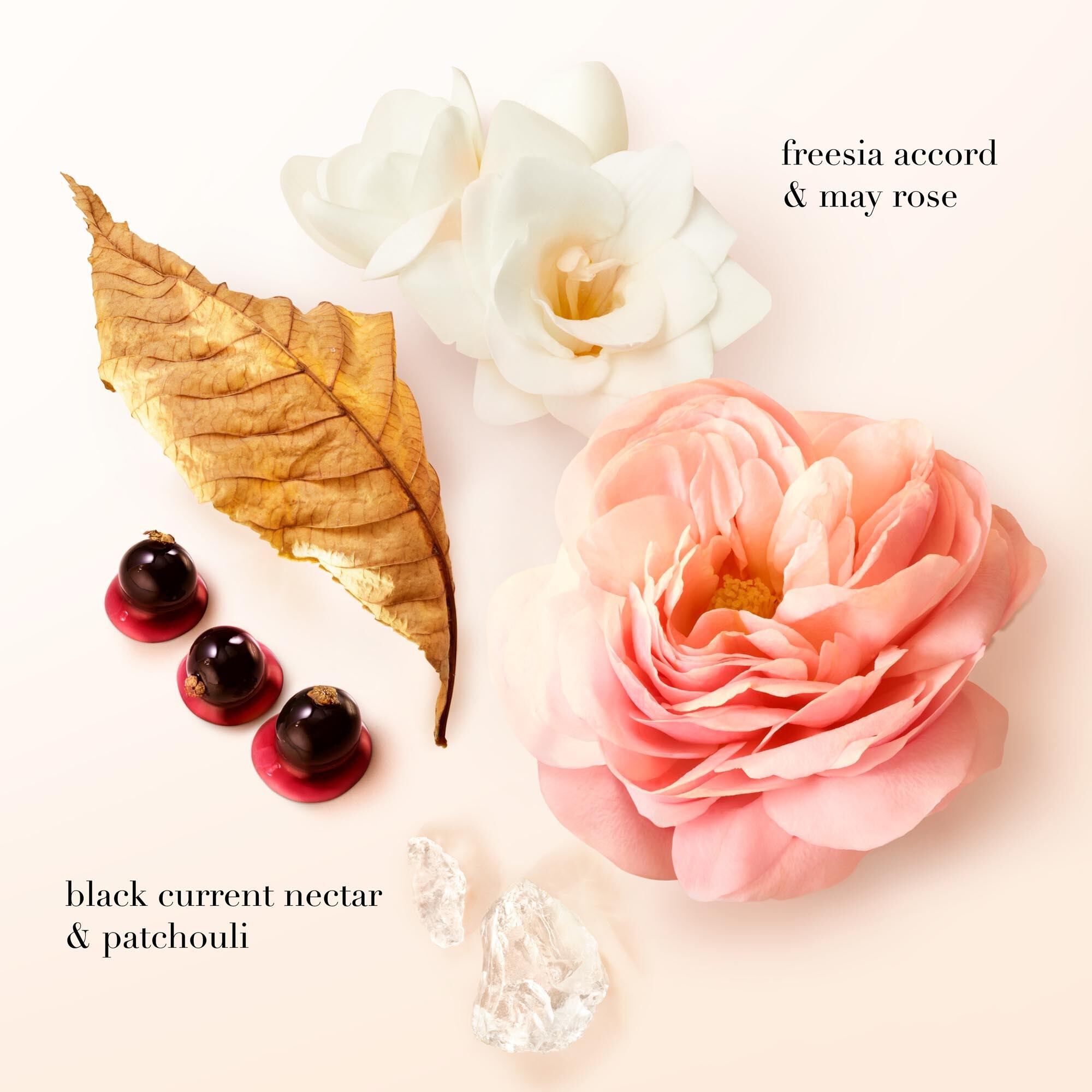 SI EAU DE PARFUM 50ML CADEAUSET
