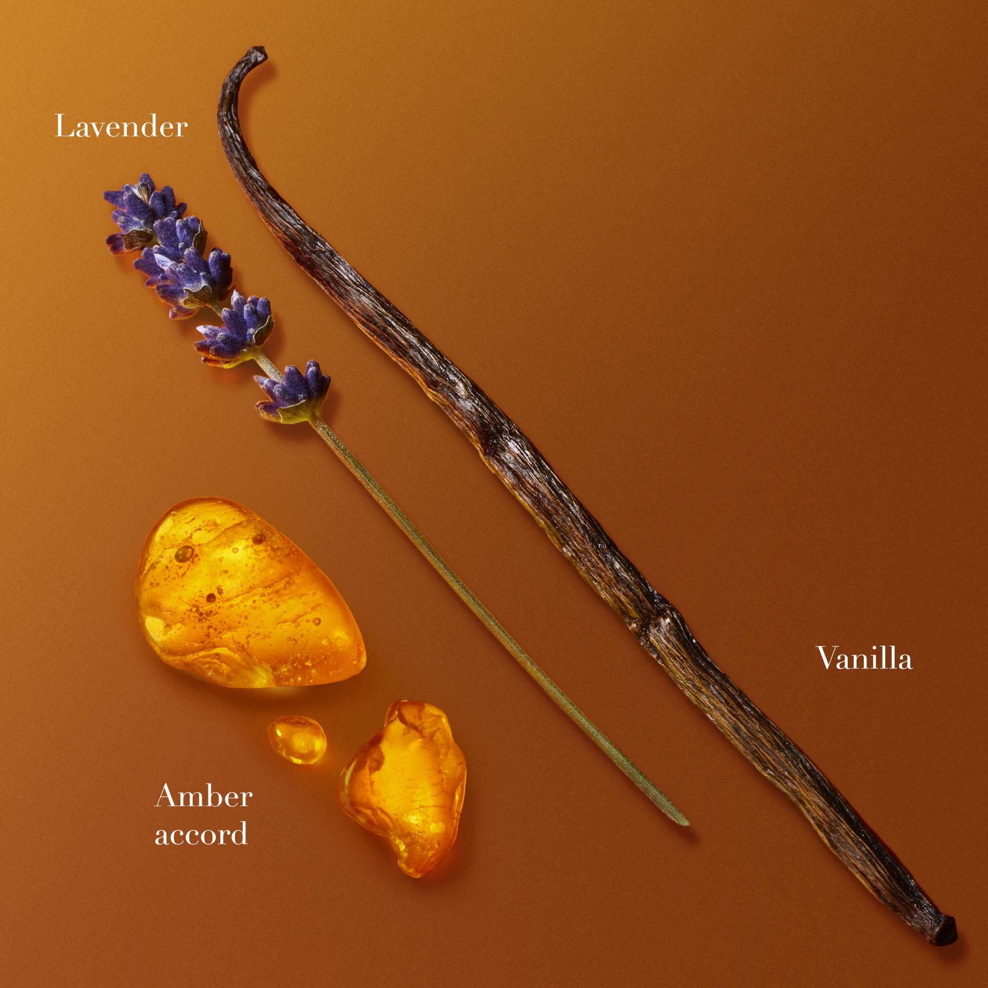 Vanillestokjes, lavendel en stukjes amberhars gerangschikt op een warme oranje achtergrond, ter illustratie van de geuringredienten