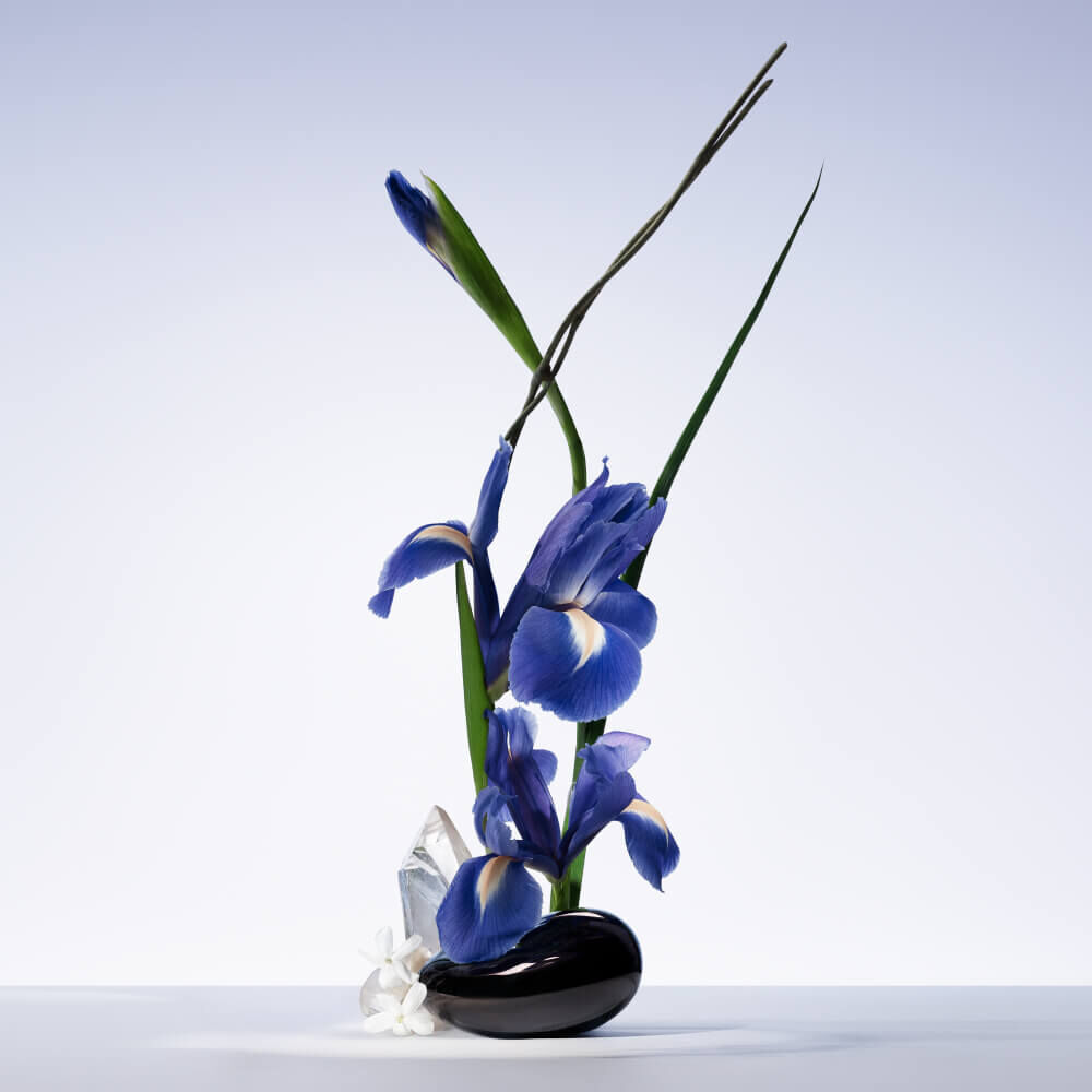Ikebana showcasing iris flowers and white musk in a dark vase.