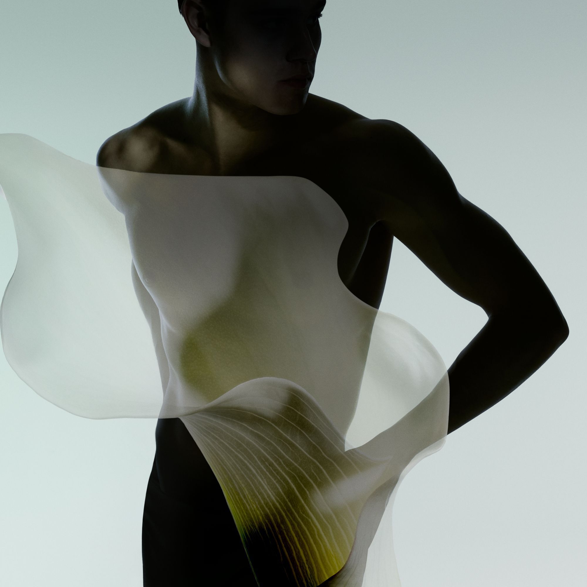 Armani Prive – Vert Malachite