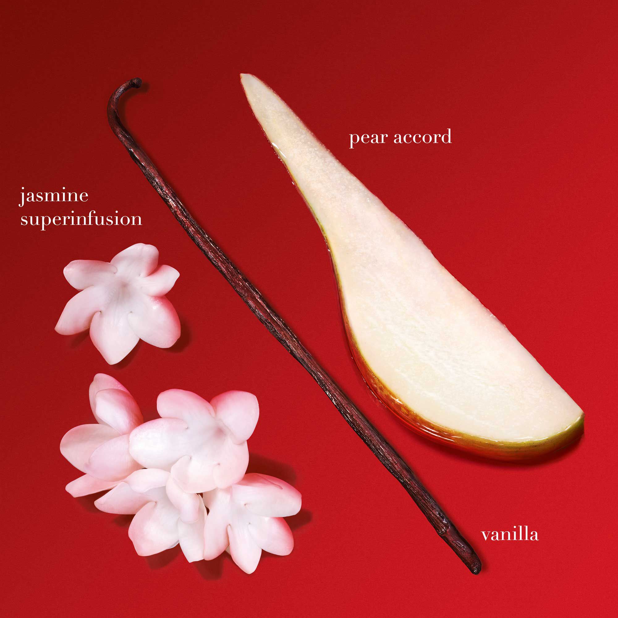 Si Passione Valentine's Day Duo