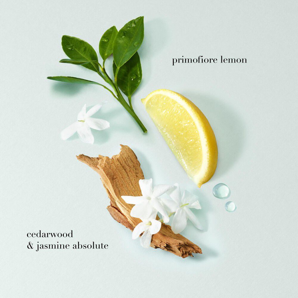 Acqua di Gioia Eau de Parfum met noten van primofiore citroen, cederhout en jasmijnabsoluut, omringd door verse ingredienten op een lichtblauwe achtergrond.